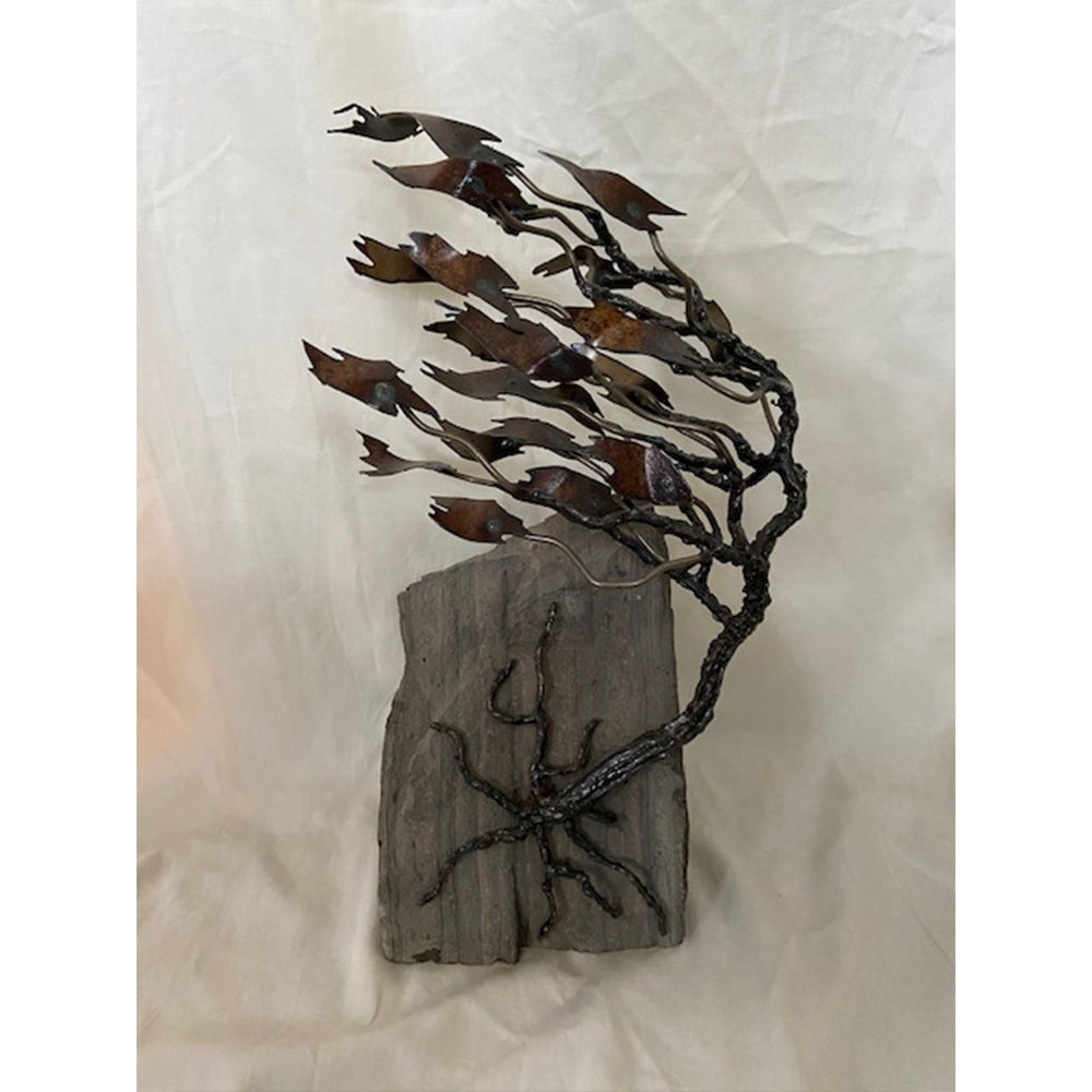 Windswept Pine on Rock - Floyd Elzinga