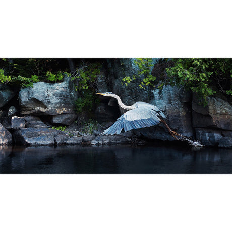 Along Ancient Granite - Colin Erricson-Photography-Eclipse Art Gallery