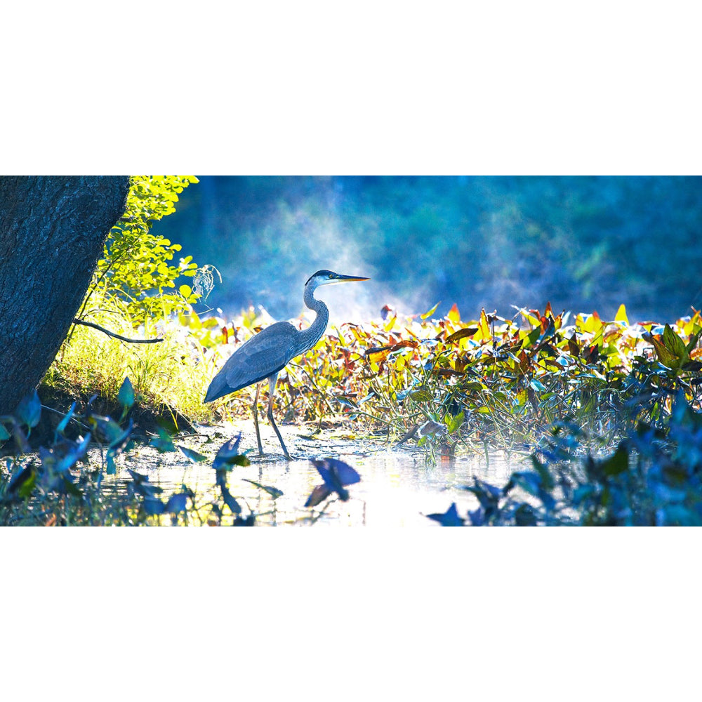 Patient Hunter - Colin Erricson-Photography-Eclipse Art Gallery