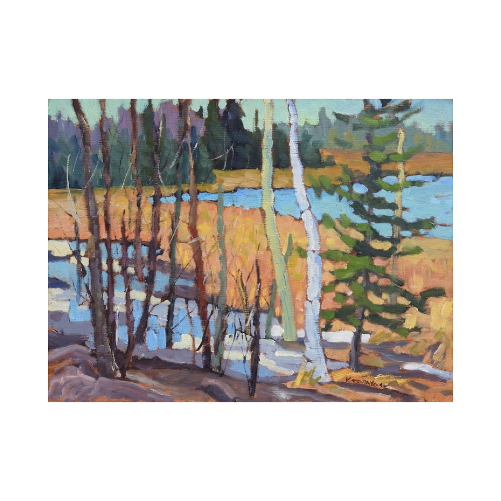 Mountain Marshland - Kathy Haycock-Painting-Eclipse Art Gallery