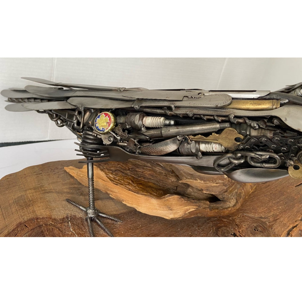 Scallywags - Leo Sepa