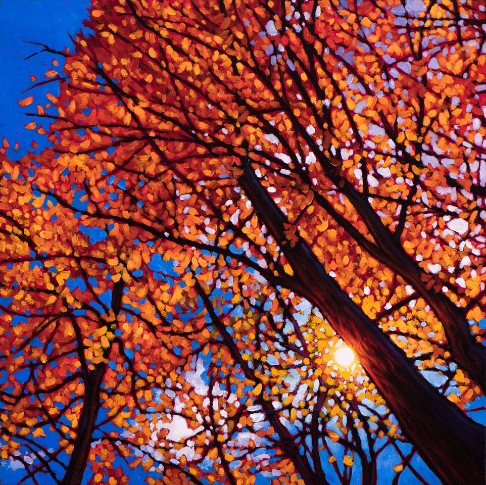 Silence Is Golden - Tim Packer