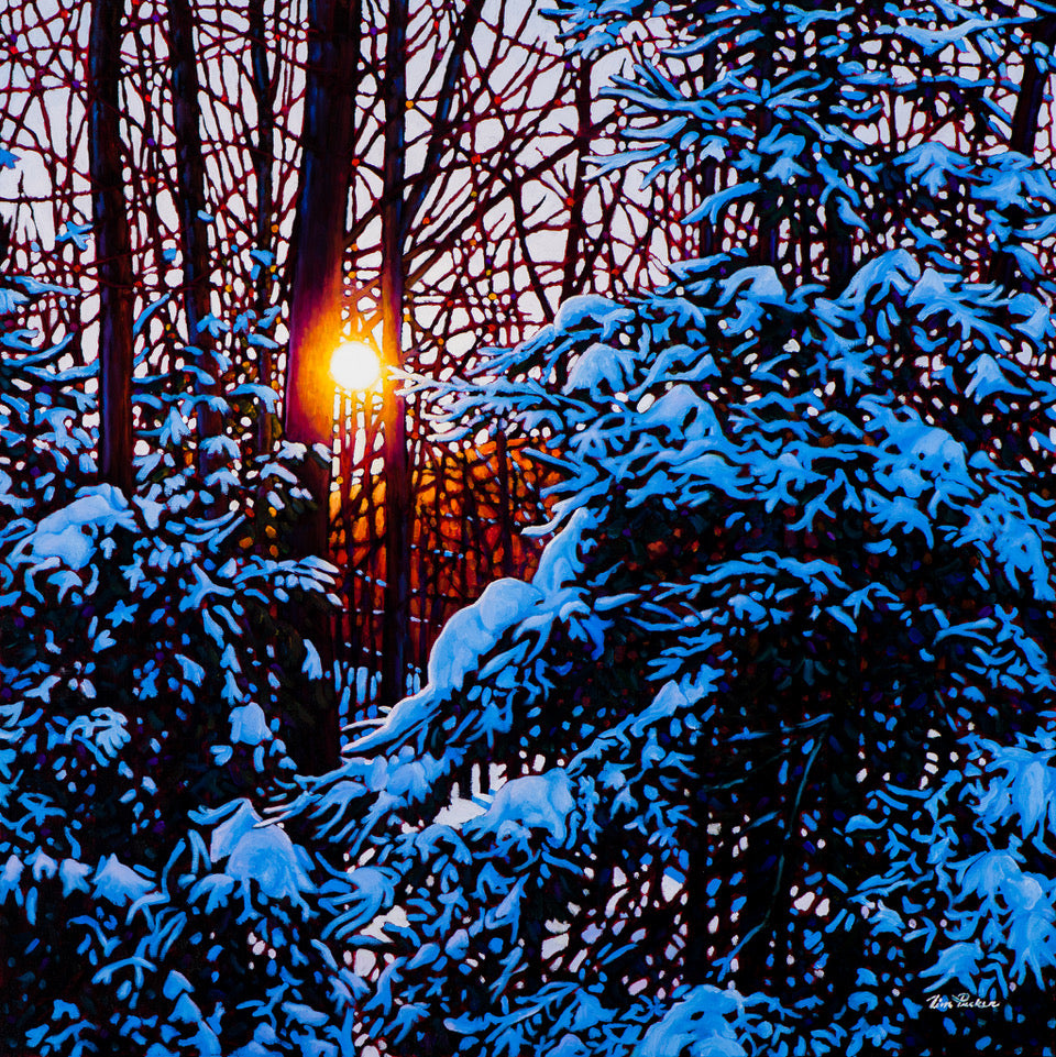 Sunset Blues (Giclée) - Tim Packer