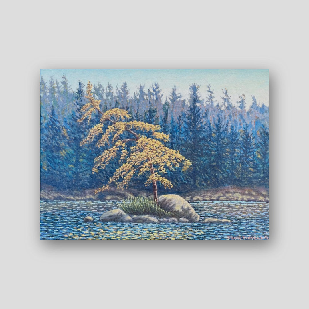 On the Madawaska - John Kinsella
