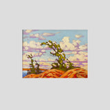 Autumn Breeze - John Lennard