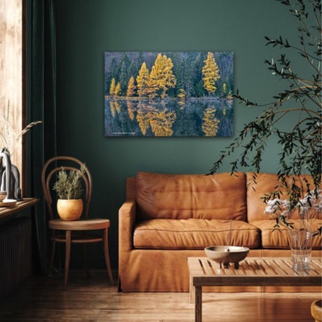 Fall Tamaracks - Rob Stimpson