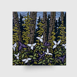 The Thrill of Trilliums - Liz Derksen
