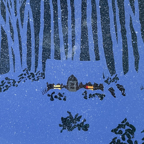 Cozy in the House Blizzard 2002 - Mendelson Joe