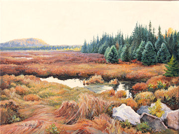 Autumn Morning-Spruce Bog - Jan Rinik