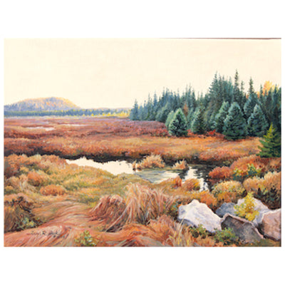 Autumn Morning-Spruce Bog - Jan Rinik