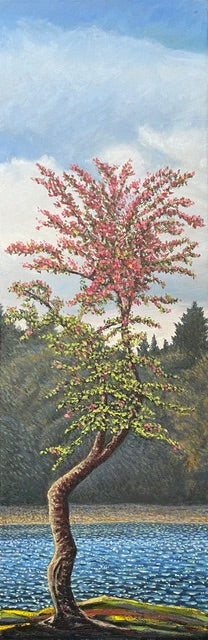 Blossoms - John Kinsella