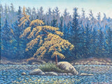 On the Madawaska - John Kinsella