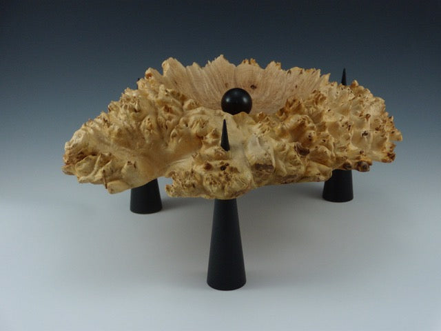 Maple Burl Spikes & Ball  - Frank Didomizio