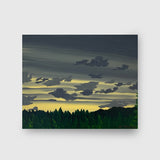 Monday Routine 2003 - Mendelson Joe