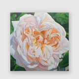 Radiant Rose - Michele Van Maurik