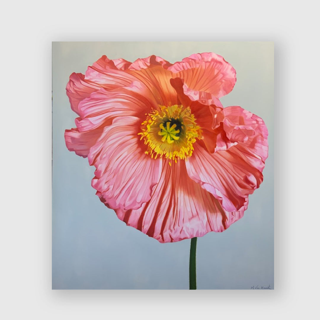 Rapture Of Pink - Michele Van Maurik