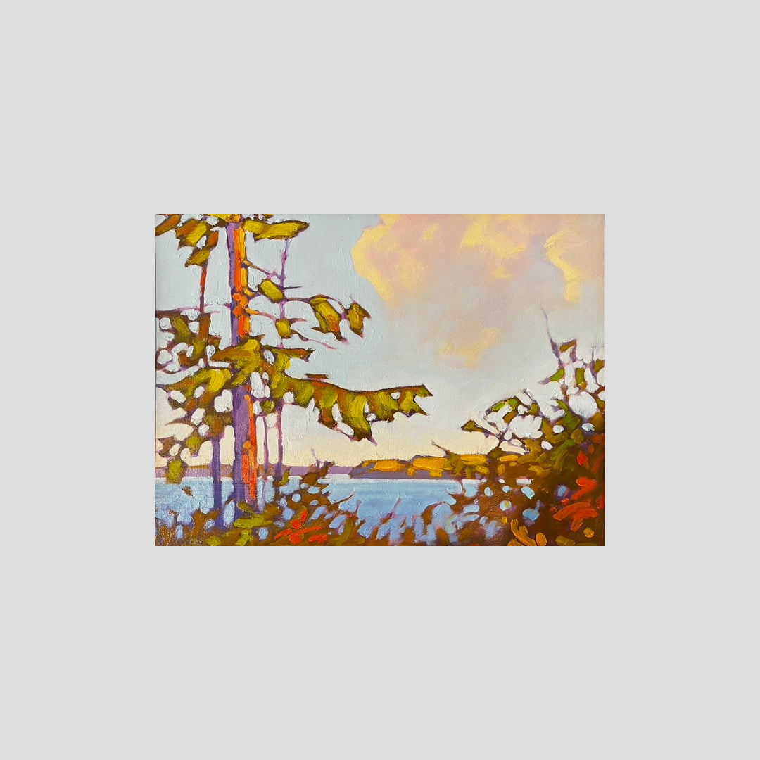 View Through The Pine - John Lennard