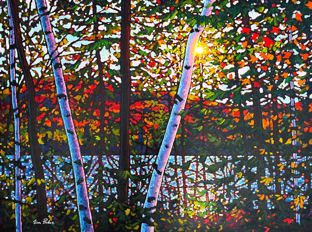 Algoma Trail - Tim Packer