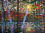 Algoma Trail - Tim Packer