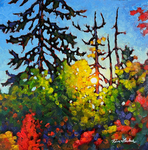 Autumn Pines - Tim Packer