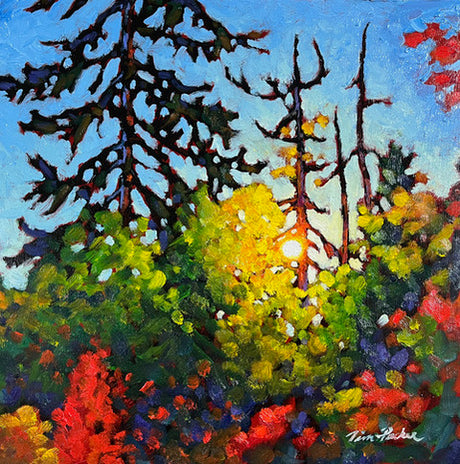 Autumn Pines - Tim Packer