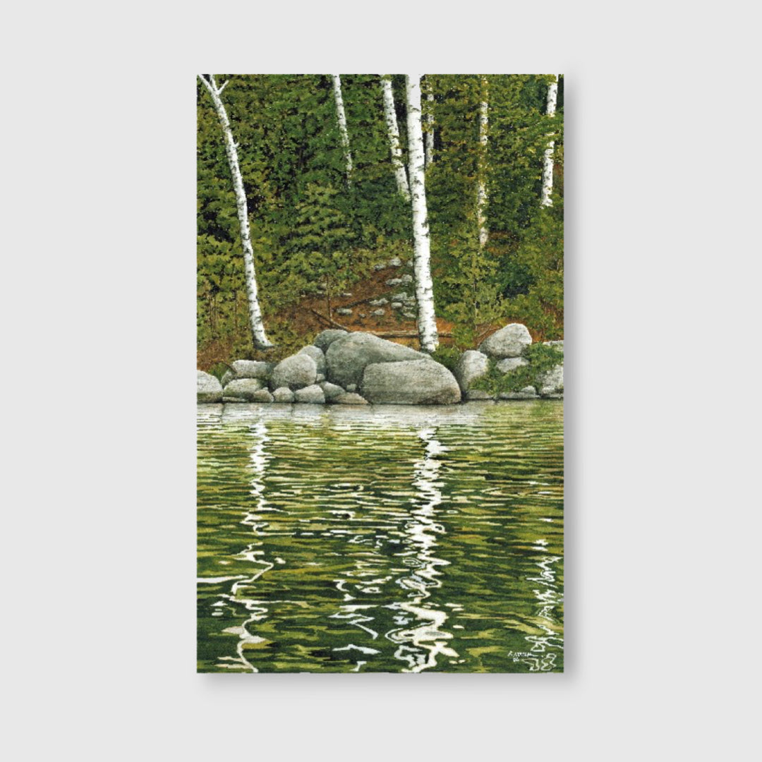White Birches (Giclée print) - Ed Novak