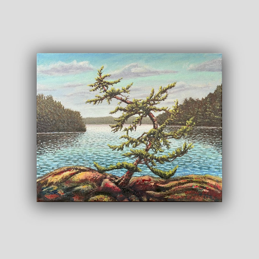 Dancing Pine, Pig Lake - John Kinsella