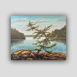 Dancing Pine, Pig Lake - John Kinsella