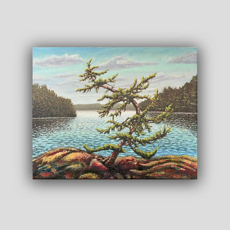 Dancing Pine, Pig Lake - John Kinsella