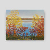 Maple Shore, Algonquin - John Kinsella