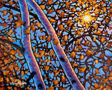 Golden Moment - Tim Packer
