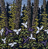 The Thrill of Trilliums - Liz Derksen