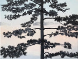 Muskoka Mist Studies #3 - Ellen Cowie