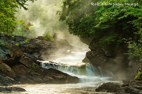 Oxtongue Rapids - Rob Stimpson