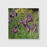 Irises - Ed Novak