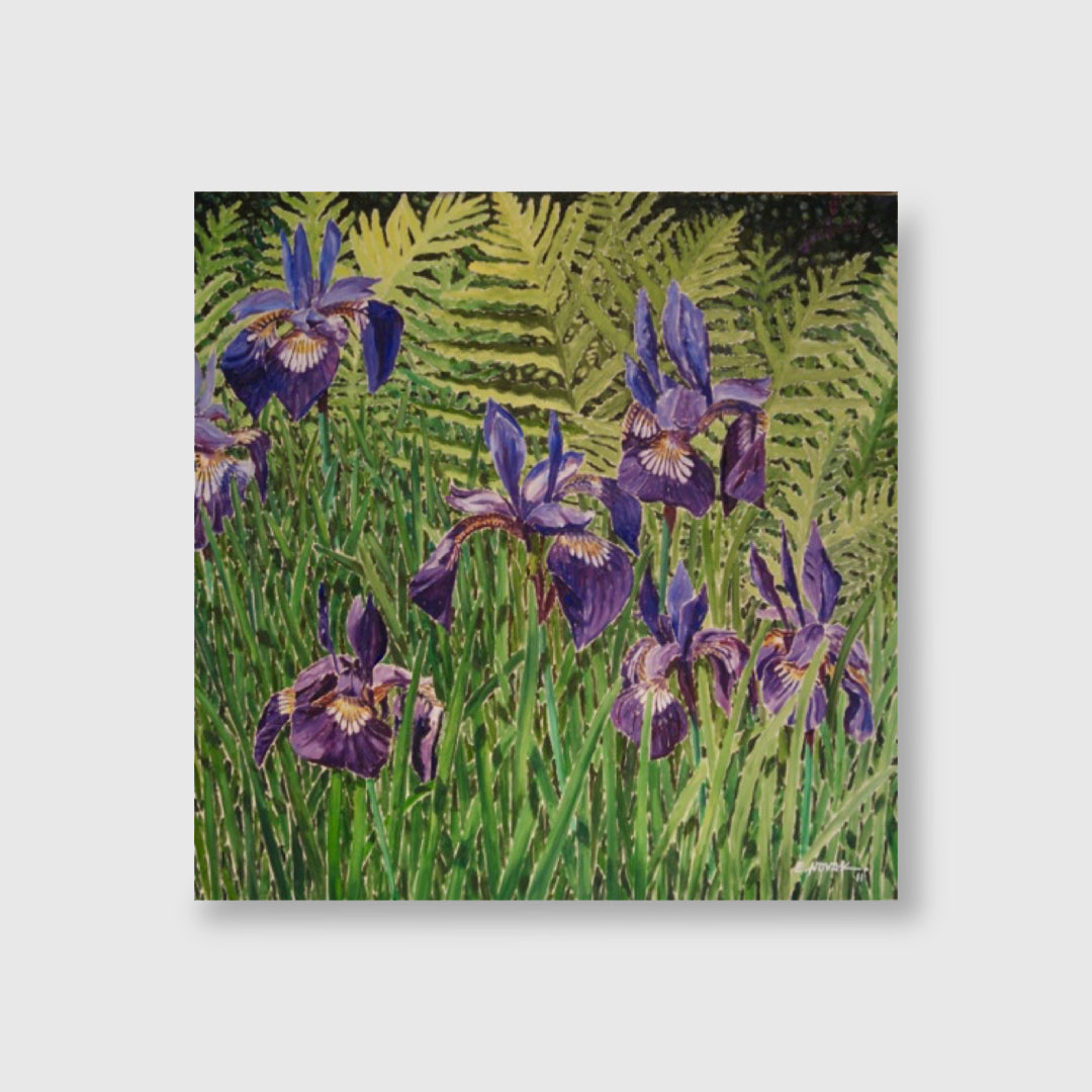 Irises - Ed Novak