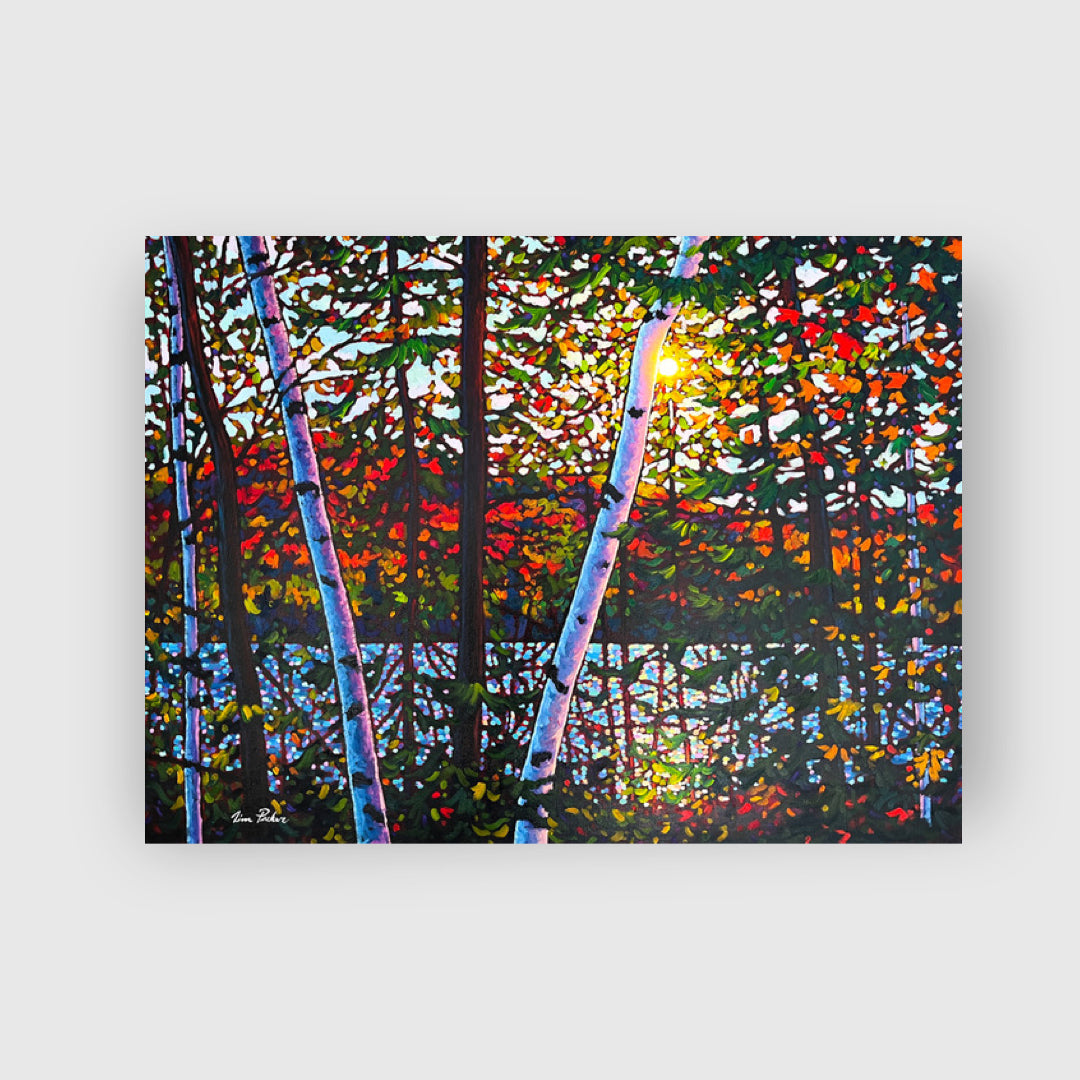 Algoma Trail - Tim Packer