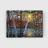 Algoma Trail - Tim Packer