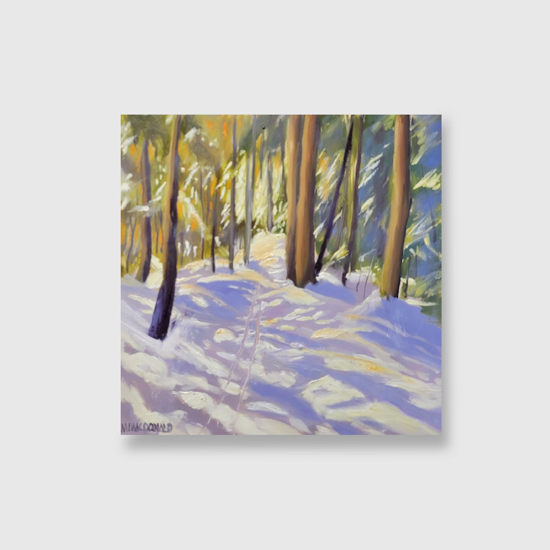 Ski Trail - Marike Macdonald