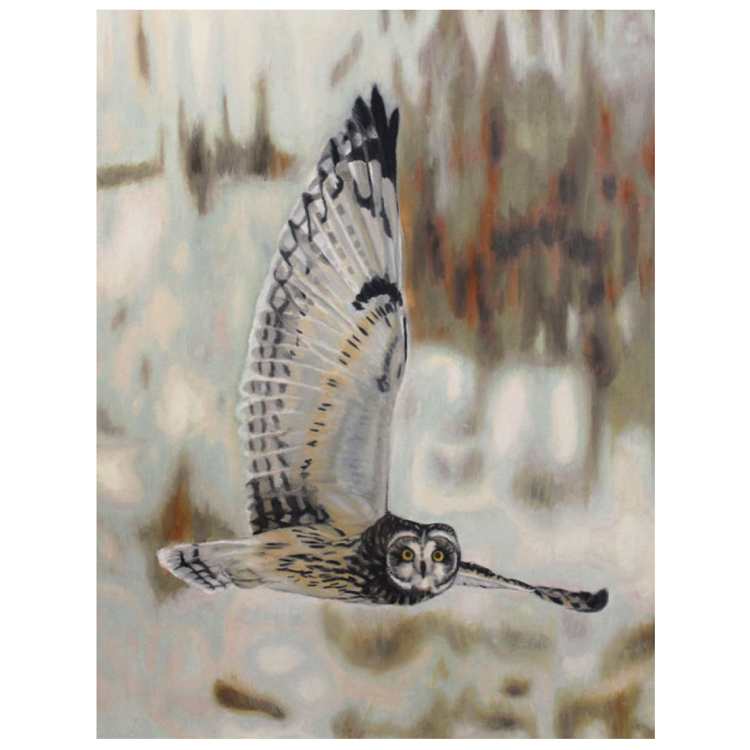 Gliding, Short-eared Owl - Donna Greenstein