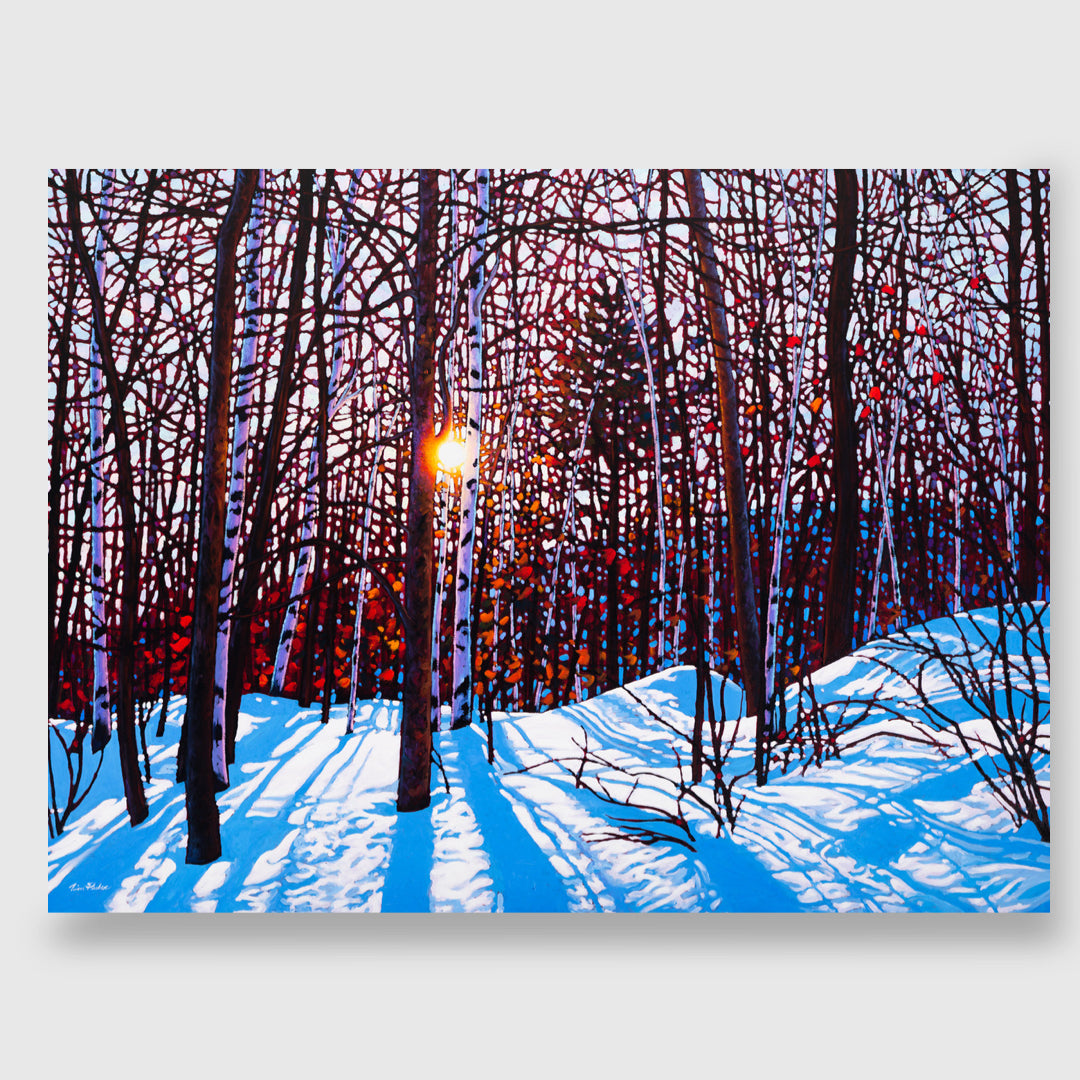 Winter Rhapsody (Giclée) - Tim Packer