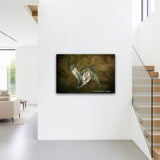 Milkweed Pods - Rob Stimpson