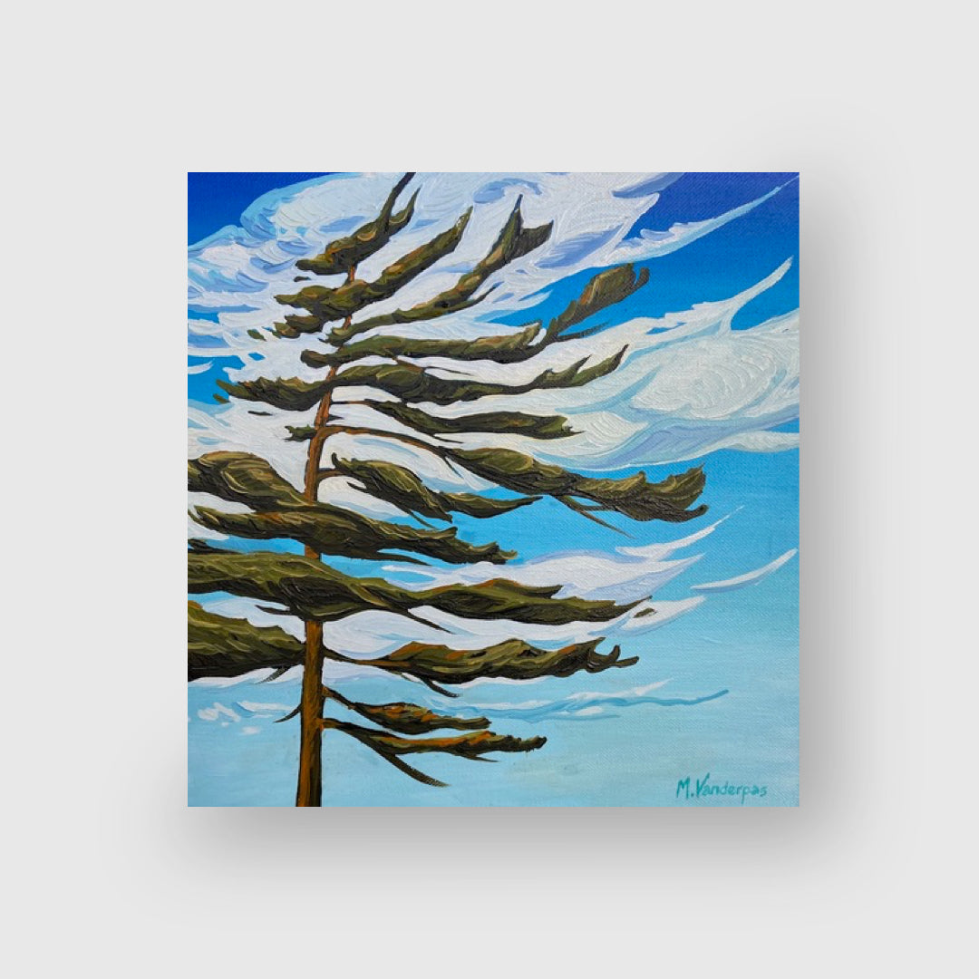 Windswept Pine #II - Margarethe VanderPas