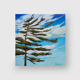 Windswept Pine #II - Margarethe VanderPas