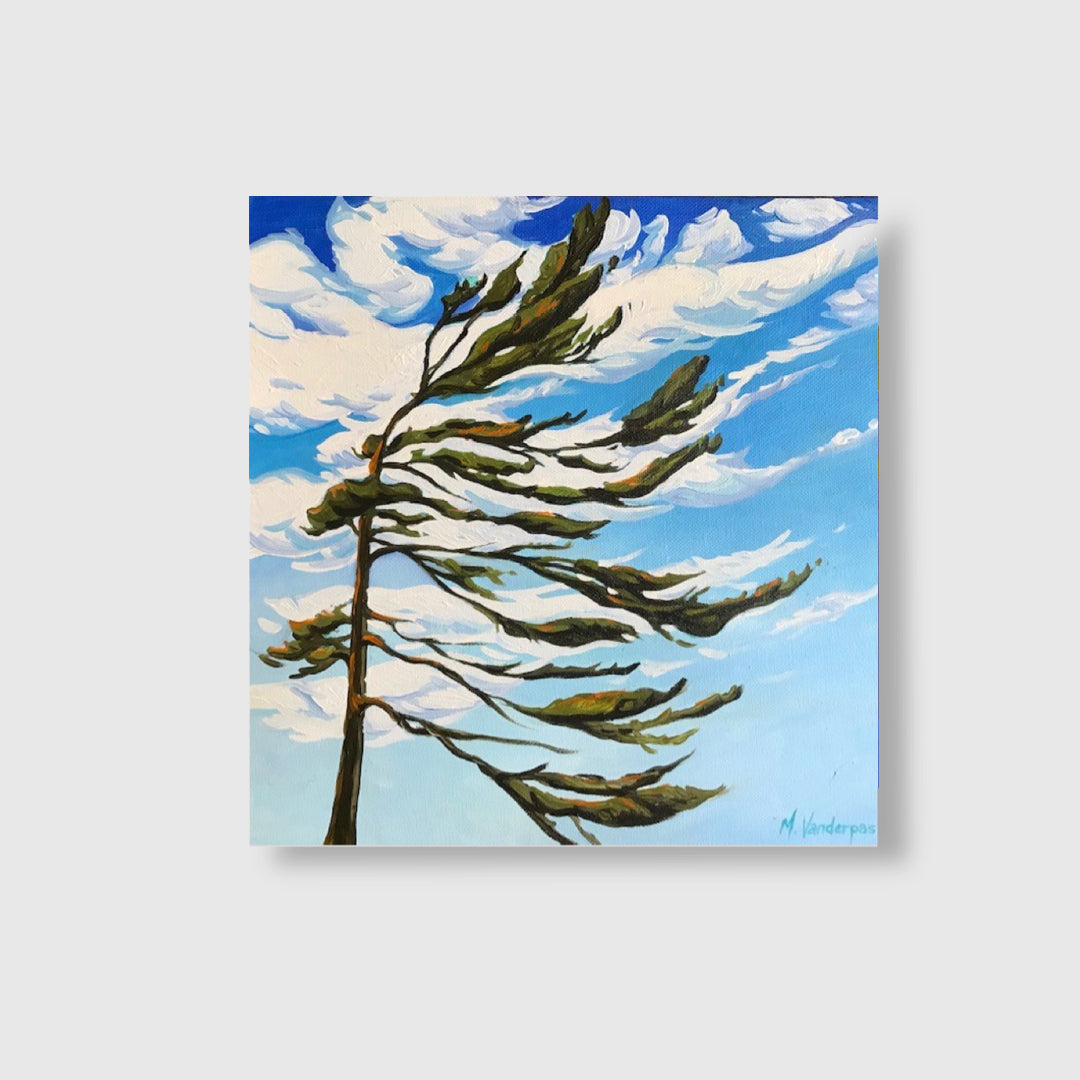 Windswept Pine I - Margarethe VanderPas