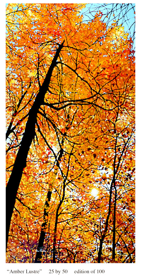 Ambre Lustre (print) - Tim Packer-Print-Eclipse Art Gallery