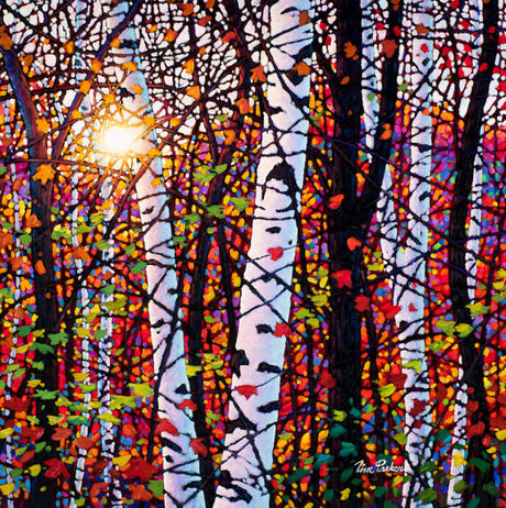 Birch Rhapsody (print) - Tim Packer-Print-Eclipse Art Gallery