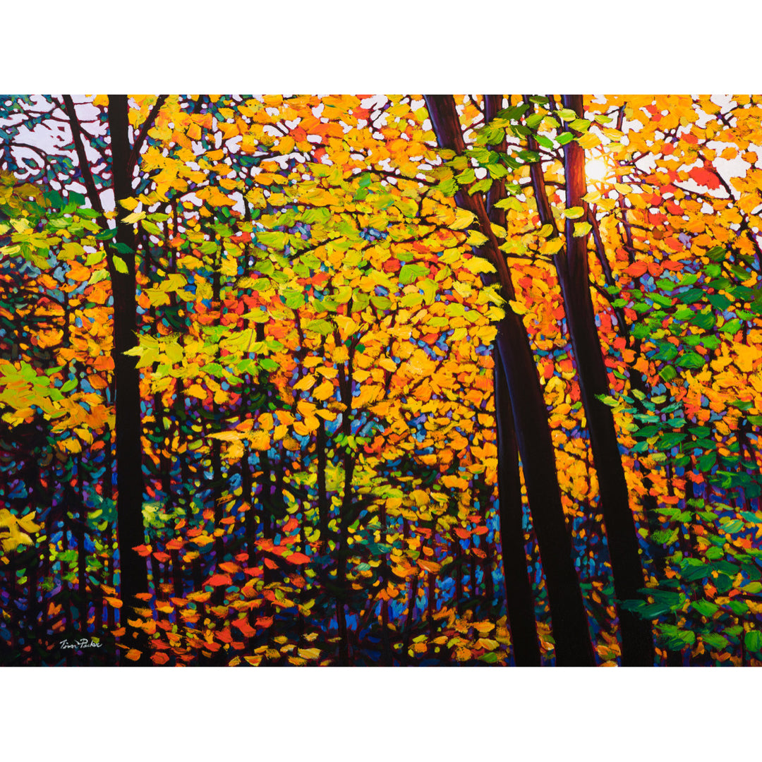 On The Right Path - Tim Packer