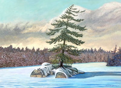 Island on a Frozen Lake - John Kinsella