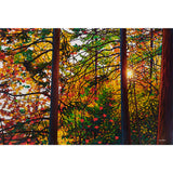 Glowing Pines Batchewana Bay (Giclée) - Tim Packer